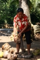 Manual coconut shelling, Java Pangandaran Indonesia 2